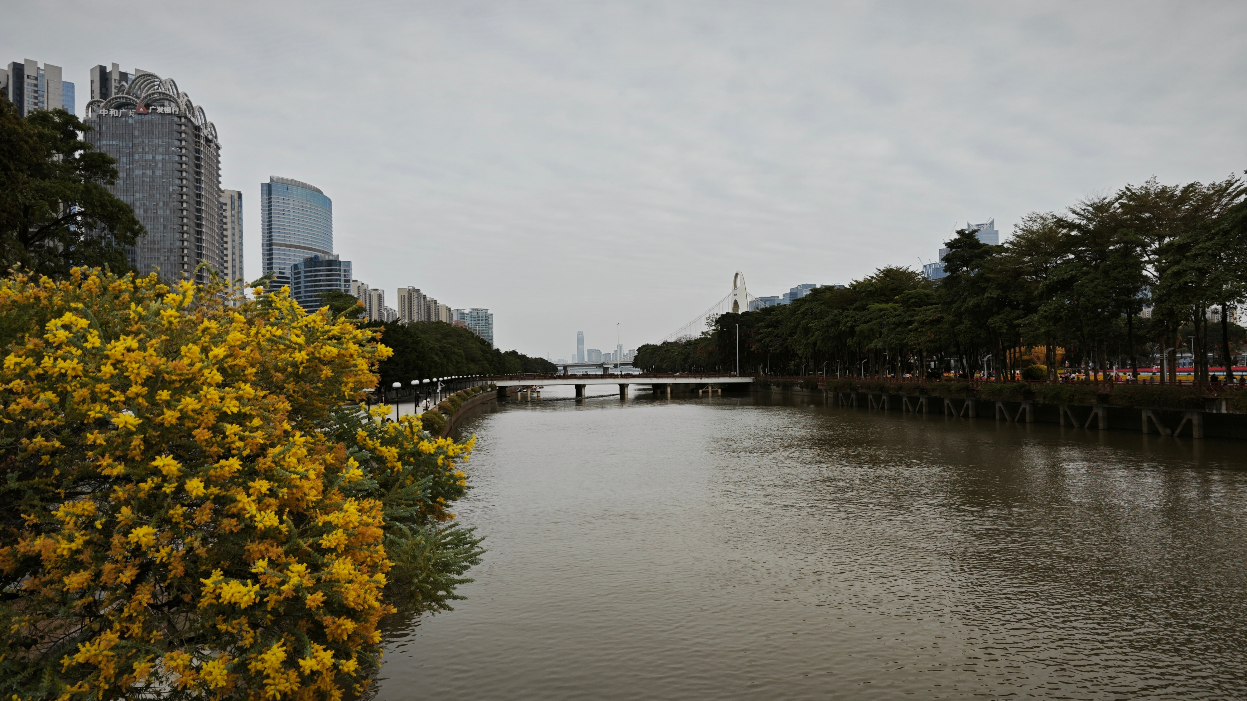 25140_cwdn_5410.jpg